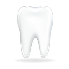 Tooth