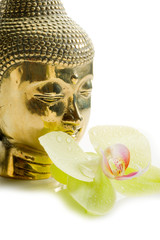 buddha with orchid- buddha con orchidea