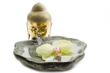 buddha with orchid- buddha con orchidea
