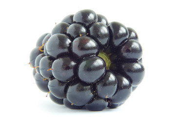 blackberry