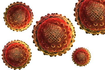 virus 3d image