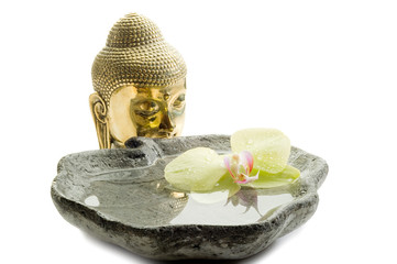 buddha with orchid- buddha con orchidea