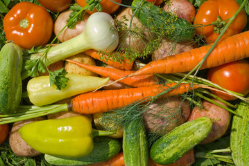 Heap of vegetables 5
