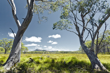 Fototapeta na wymiar Tasmania