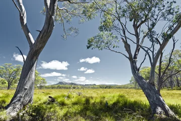 Fotobehang Tasmanië © magann