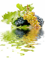 reflejos de uvas