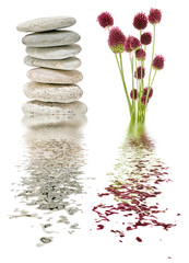 flowers and stones