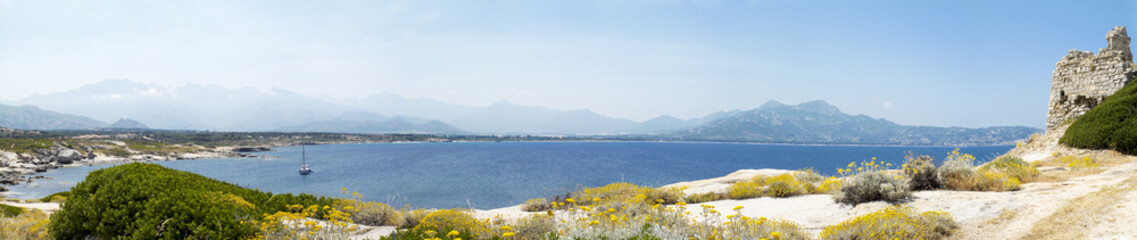 Panoramic landscape