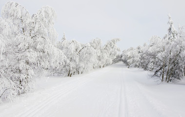 Winterlandschaft