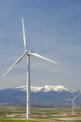 wind energy