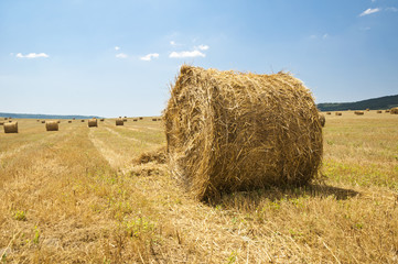 Straw bales on farmland