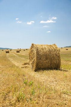 Straw bales on farmland