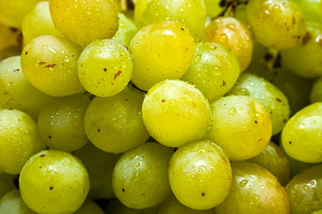 Green grapes