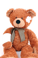 Verletzter Teddy