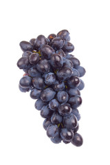 Bunch of grapes with water drops, isolated