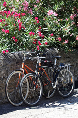Cycling in South of France