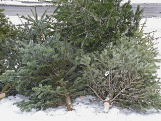 Weihnachten ist vorüber