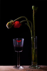 Mohnblume in Glasvase