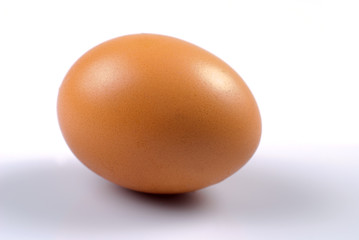 Egg isolated
