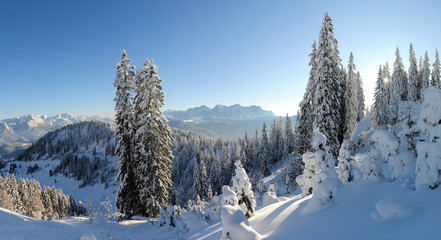 Winterpanorma, Schnee