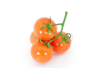 truss tomatoes in cluster isolated on white
