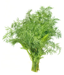 Dill Isolated On White