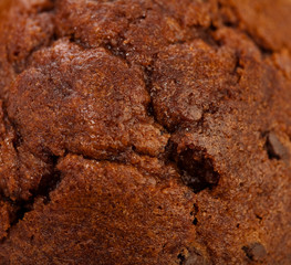 chocolate muffin