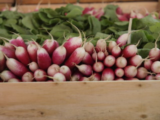 Verdura en mercado de Paris