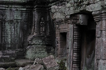 Fototapeta na wymiar jungle temple ta prohm in cambdia