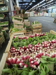 Verdura en mercado de Paris
