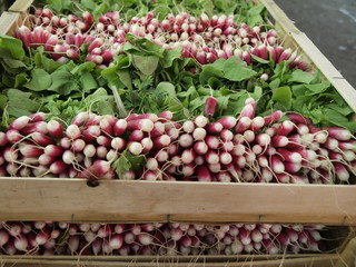 Verdura en mercado de Paris