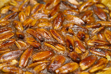 Philippine Pili nut dessert pie