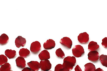 Lots of rose petals with copy space
