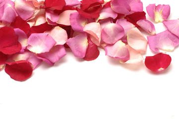 red and pink rose petals border