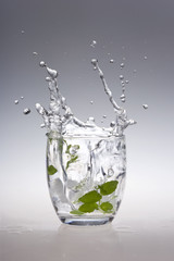 Mojito splash