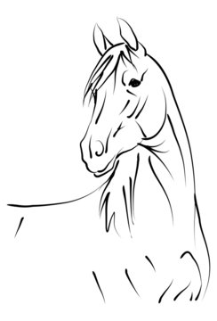 vecor horse
