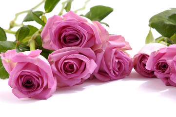 Bunch of pink roses - More flowers in my portfolio
