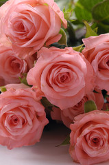 bouquet of pretty pink roses with green leaves