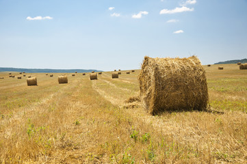 Fototapeta na wymiar Straw bales on farmland