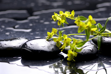 Spa black stones and leaves with water drops
