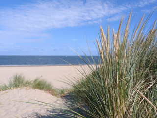 Fototapeta na wymiar Holandia, Renesse beach