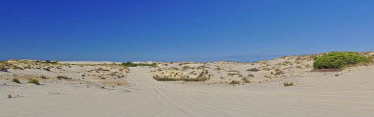 Dunas en el Parque Nacional de Doñana,Andalucia,España