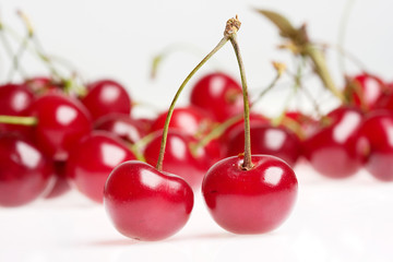 cherries on white background