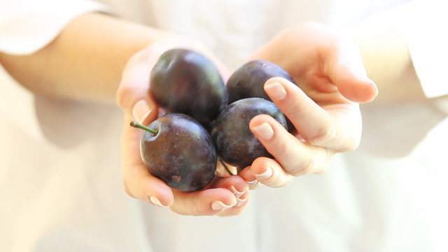 fruits in woman's hands