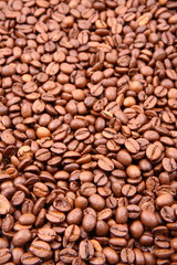Coffee beans in close up - background