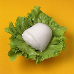 mozzarella