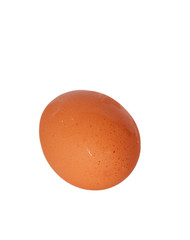 Egg yumurta