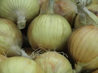 Verdura en mercado de Paris