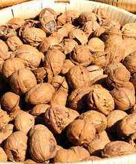 Close-up of a walnut © birdmanphoto