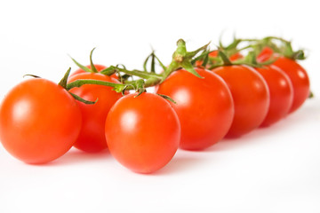 tomato